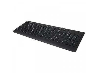 LENOVO Tastatura 300 USB US English 103P Black (GX30M39655)